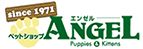 petshop ANGEL