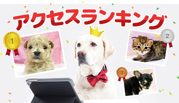 月替わりアクセスランキング